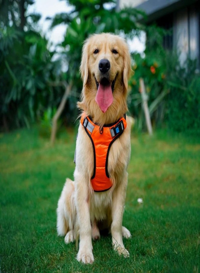 Pets Empire No-Pull Dog Harness - Adjustable Reflective Pet Vest with Easy Control Handle, Outdoor Oxford Material Harness for Dogs & Cats (Orange, Medium)
